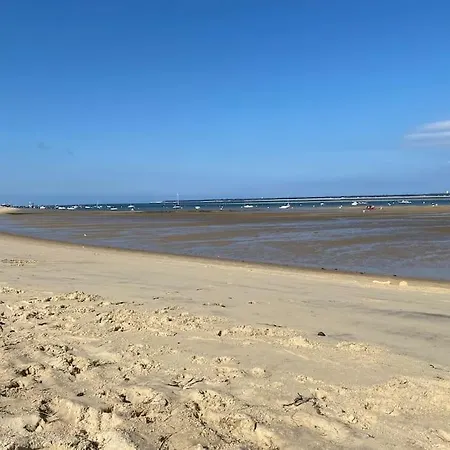T3 De Standing En Front De A L'aiguillon Arcachon Διαμέρισμα *