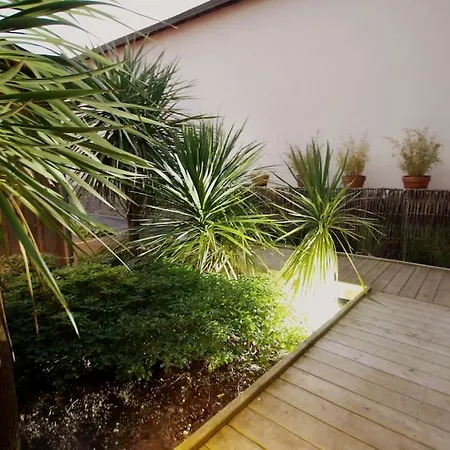 T3 De Standing En Front De A L'aiguillon Arcachon * La Teste-de-Buch